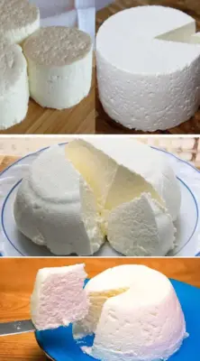 Fromage Maison : Le Trésor Lacté Réinventé