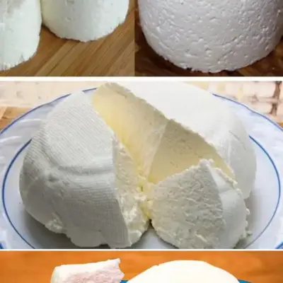Fromage Maison : Un Délice à Réaliser