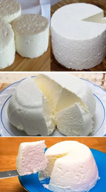 Fromage Maison : Un Délice à Réaliser