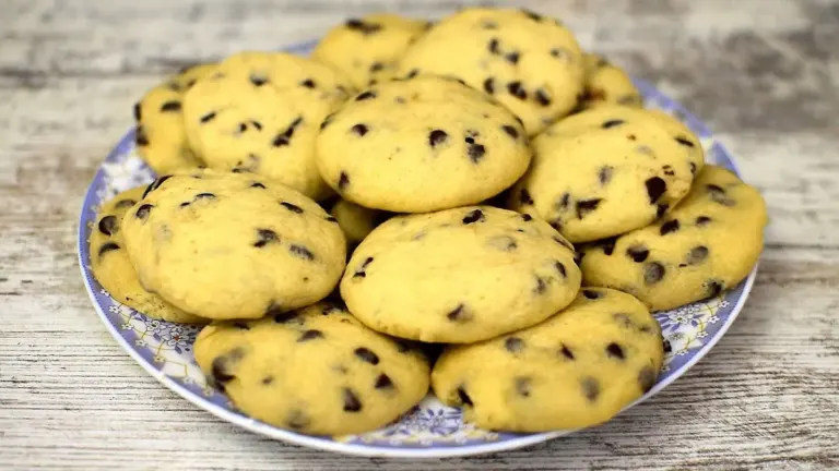 Biscuits Sans Beurre aux Vermicelles de Chocolat