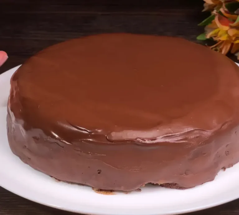Gâteau au Biscuit au Chocolat Sans Cuisson