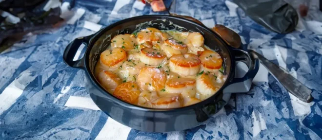 Blanquette de Saint-Jacques